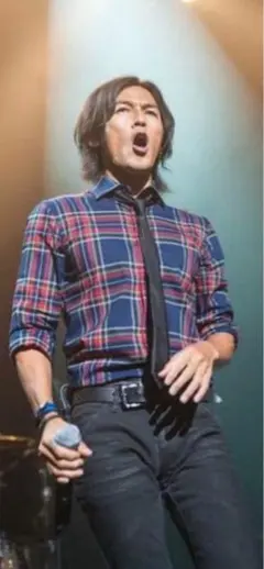 B'z 稲葉浩志さん着用チェックシャツ　本人同色同モデル