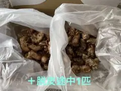 Item thumbnail for item 00308f0c-19b2-4ad8-8620-9371dfae717f