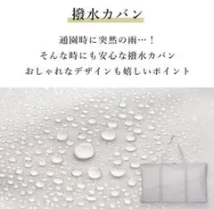 ◾️新品◾️ココデシカ/ お昼寝布団　バッグ