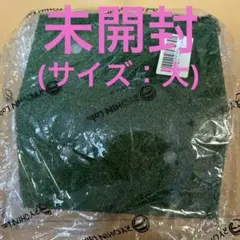 Item thumbnail for item 1678e68c-a5fe-4588-8ef7-ef3be54b897b