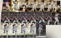 2024年プロ野球トレーディングカード阪神タイガースセット