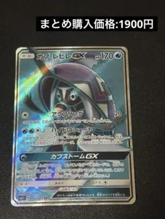 カプ・レヒレGX SR