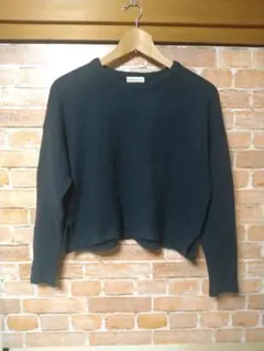 ♥美品♥アースミュージック＆エコロジー/サイズF/ニット/セーター/長袖/紺色♥