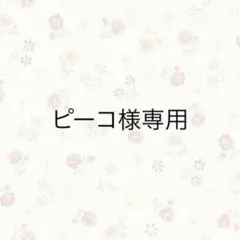 ピーコ様専用