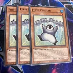 遊戯王 ファーストペンギン 英語 1st 3枚