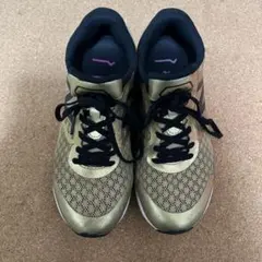 Item thumbnail for item 313ee595-a272-42c8-9177-61ecc1a9a599