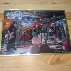SHELTER 35th はまじあき 描き下ろし アクリル色紙 ぼっちざろっく