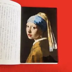 美術館グッズ【15218】 A4＆ミニファイル 真珠の耳飾りの少女 フェル