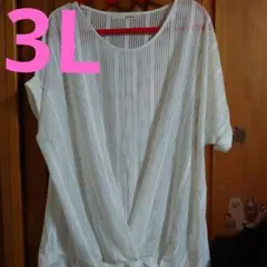 【110】透けストライプ半袖Tシャツ