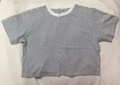 ユニクロ ストライプ クロップドTシャツ XL
