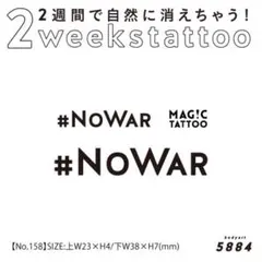 Item thumbnail for item e5a9300c-3a98-4850-8328-7e7575753f3a