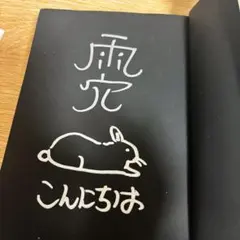 【稀少・直筆サイン本】変な家 雨穴 単行本 イラスト入り
