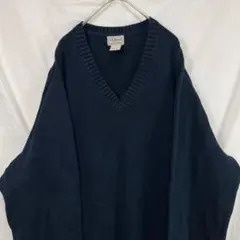 90s 00s エルエルビーン L.L.bean Vネック 厚手 ニット