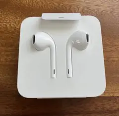 早い者勝Apple純正 Lightning イヤホン&変換アダプタ　ライトニング