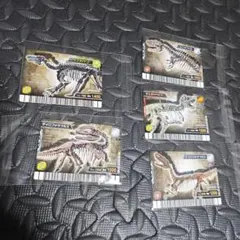 恐竜キング　骨 トレカセット