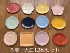 未開封・全種コンプリート】金麦 花やか皿 12枚セット 日比谷花壇