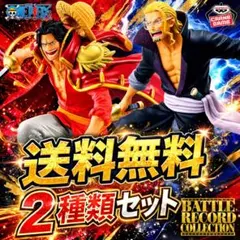 ワンピース BATTLE RECORD COLLECTION レイリー　ロジャー