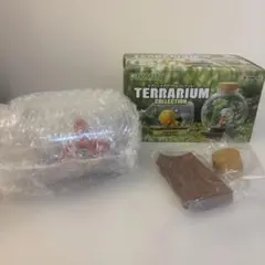 ピクミンテラリウムコレクション　火につよい