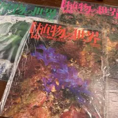 y_様 リクエスト 3点 まとめ商品