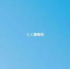 くく様専用●ガラスビジュー3種類 新体操の衣装に