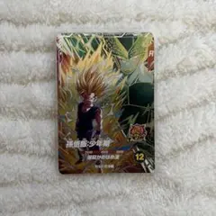ドラゴンボールスーパーダイバーズ　sdv6-vspur3 孫悟飯 pur