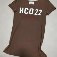 美品Hollister 平成ギャルy2kピチTワッペンロゴ ブラウンのサムネイル