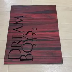 DREAM BOYS パンフレット