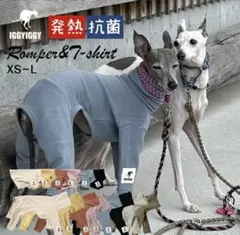 Item thumbnail for item 566873c0-cd1a-4af4-9357-b9ccda023124