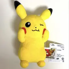 ポケモン いろんなおかおピカチュウ 30th