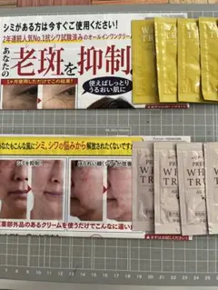 美白保湿オールインワンクリーム サンプル 医薬部外品 シミ シワ対策 11袋