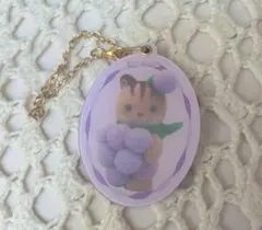 シルバニアファミリー　スライドミラー　くるみリスの赤ちゃん