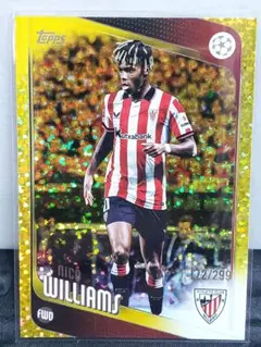 Item thumbnail for item 74d2f95d-1af6-437f-bba7-965144158f70