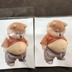 「訳あり」柴犬おなかシール　2個セット①