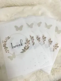 Item thumbnail for item cb9d8799-f58b-4f7b-8a46-a88e0ed67b5b