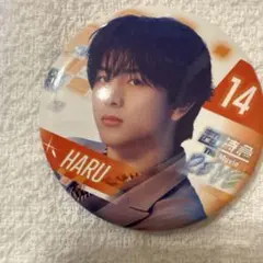 Item thumbnail for item 8a3da6e8-ea20-452f-b208-277bac2286ad