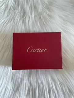 Cartier ジュエリー・時計用クリーニングキットのサムネイル