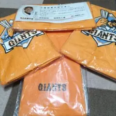 Item thumbnail for item b903a867-1c26-4ea5-a109-2fb56e721559