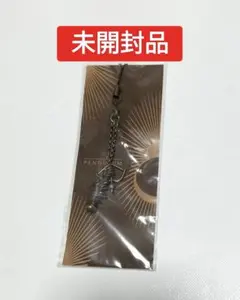 石井竜也 キーホルダー コンサートツアー 2008 PENDULUM　未開封品 石井竜也 キーホルダー コンサートツアー 2008 PENDULUM 未開封
