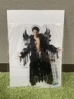 武知海青 ビッグアクリルスタンド アクスタ プロレス 武知海青 ビッグアクリルスタンド アクスタ プロレス 2025年最新