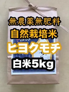 備蓄米 百萬粒 ブレンド米 5kg×4 - メルカリ