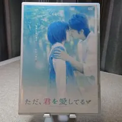 ただ,君を愛してる スタンダード・エディション('06 2006「ただ,君を愛…