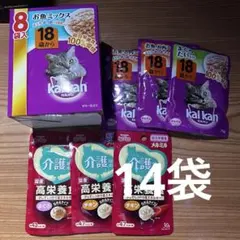 Item thumbnail for item 87f3a179-f2ab-4ef8-92c5-b35215f16fcc