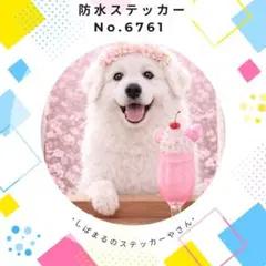 Item thumbnail for item ffbb05d4-4fdc-4046-8218-acc66e4174a4