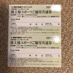 東急不動産 株主優待券 スポーツご優待共通券 2枚セット