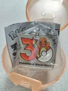 ポケモン 30周年 メタルチャームマスコット