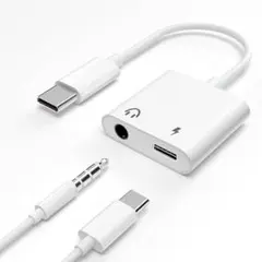 USB-C to 3.5mm変換イヤホンジャック 2in1 248K1289