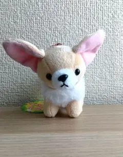 動物園ふれんず　マスコット3 フェネック