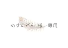 あすたどん 様専用ページ(□option変更)