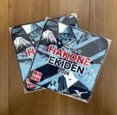 Item thumbnail for item 5dcb8214-dcc0-4ec8-8de2-758f5761765d