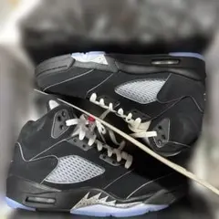 Item thumbnail for item 3e5cc68d-1f7f-4157-92f2-d8274ddd4598